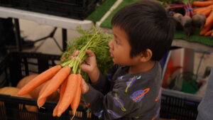 kid holding a bunch of carrots