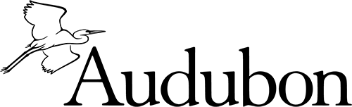 Audubon