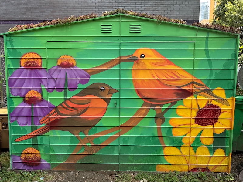 Harlem Rooftop Garden Shed
