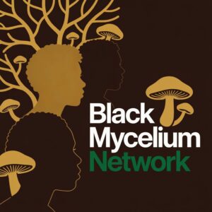 blackmyceliumnetwork