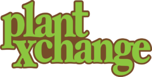 px stack logo_U-12-1 (1)