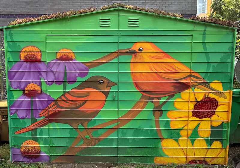 Harlem Rooftop Garden Shed
