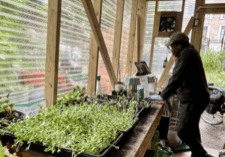 intern-microgreen-Medium